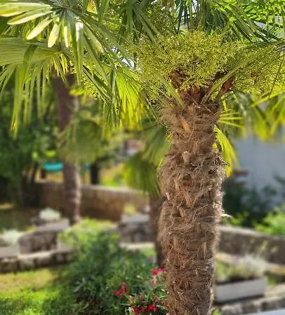 Apartment Garden & Sea *