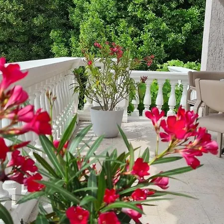 Garden & Sea